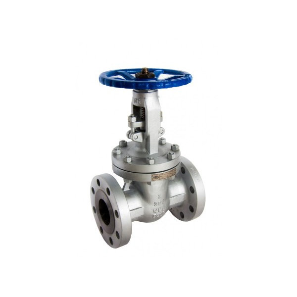 Válvula Gaveta Flangeada em WCB Classe 300